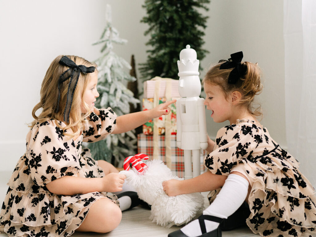 Pittsburgh holiday mini sessions